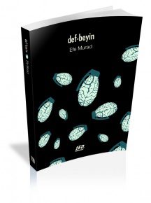 Ozan Utku Akgün: "Efe Murad kendi duyguları üzerinde bir derse katılmaya çağırmıyor sonuçta bizi; birinin duygularını, yoğunlaşmış –ya da çabalayan– duygusal bölgeleri yazıyor."